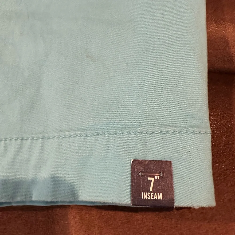 crown & ivy Bright Aqua Flat-Front Men's‎ Chino Shorts